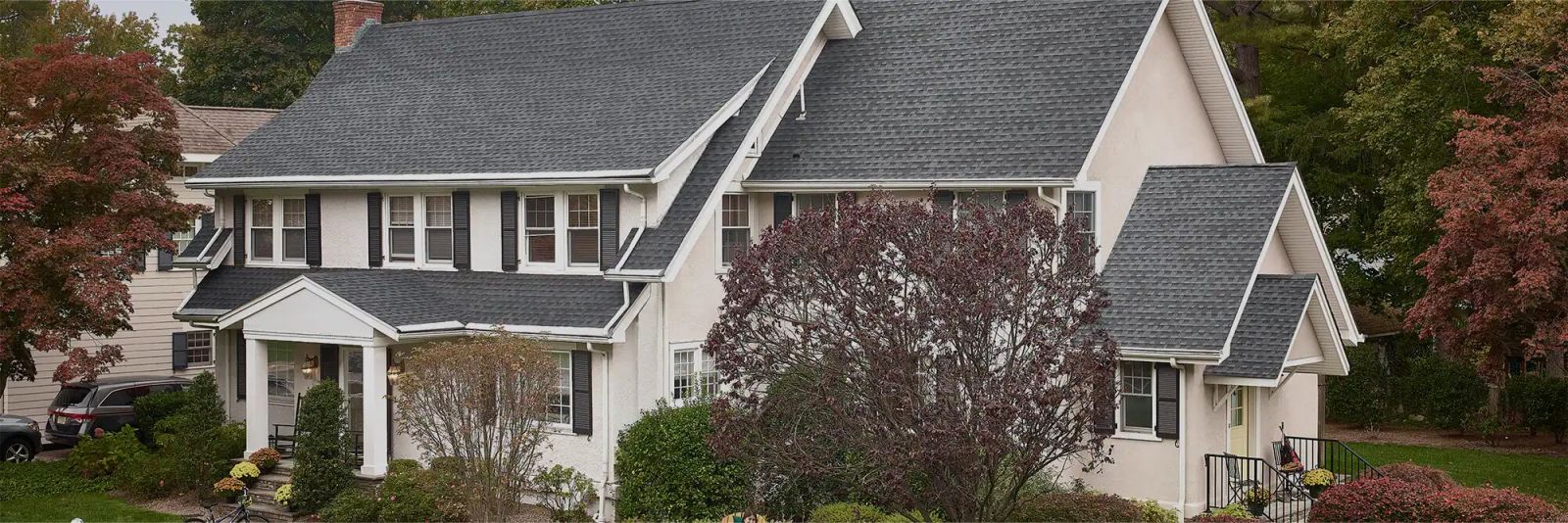 Action JacksonImages