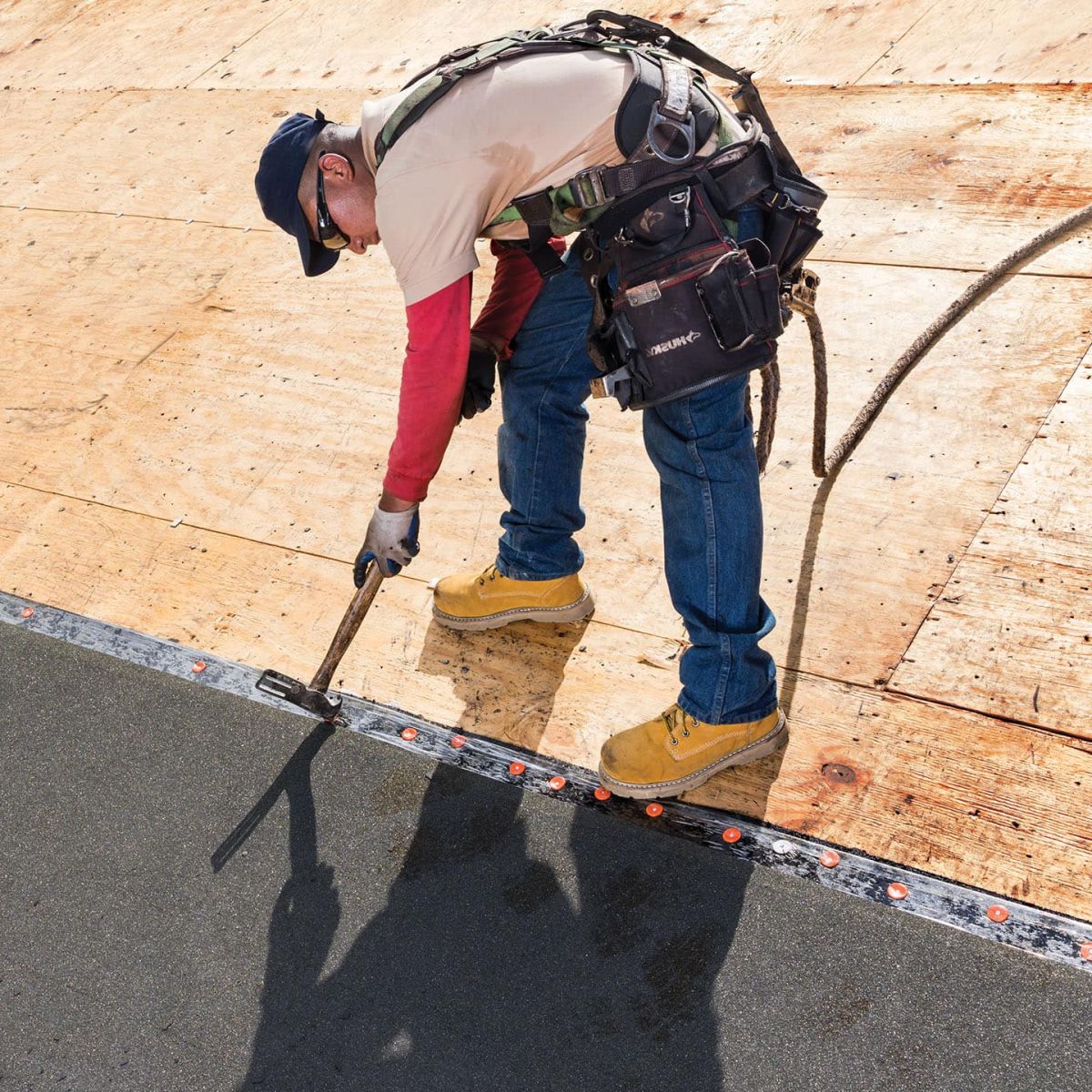 Action Jackson Images