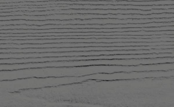 Action Jackson Images